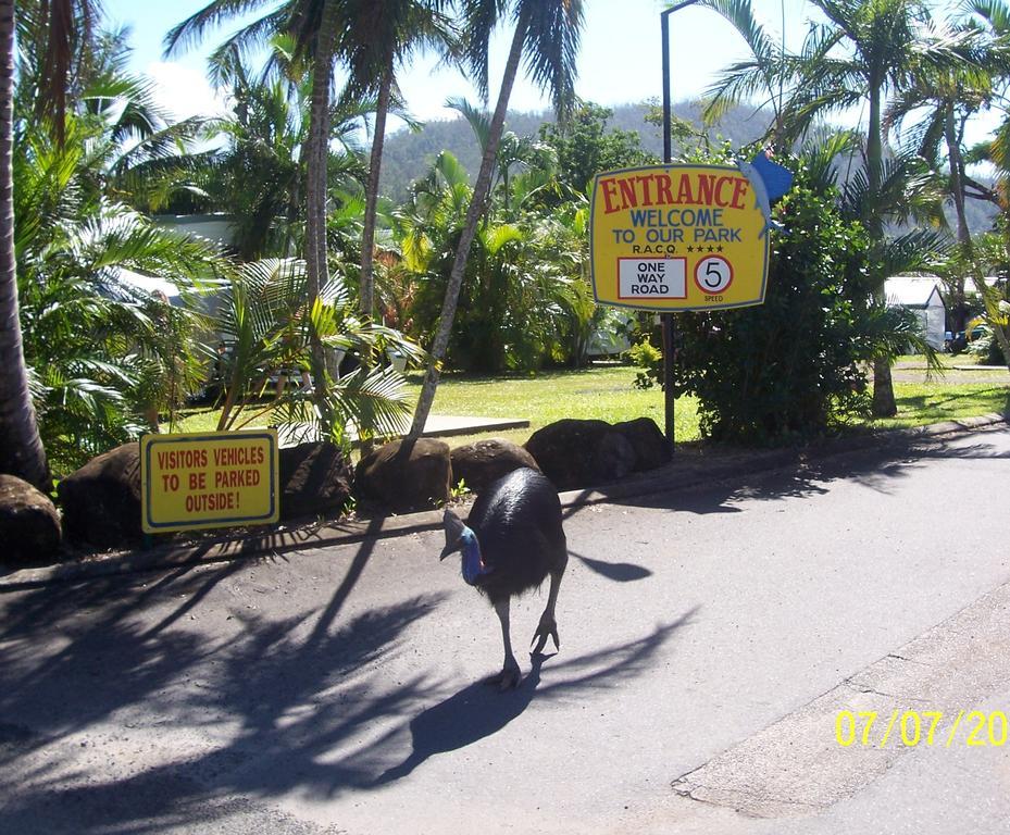 Flying Fish Point Tourist Park Holiday park