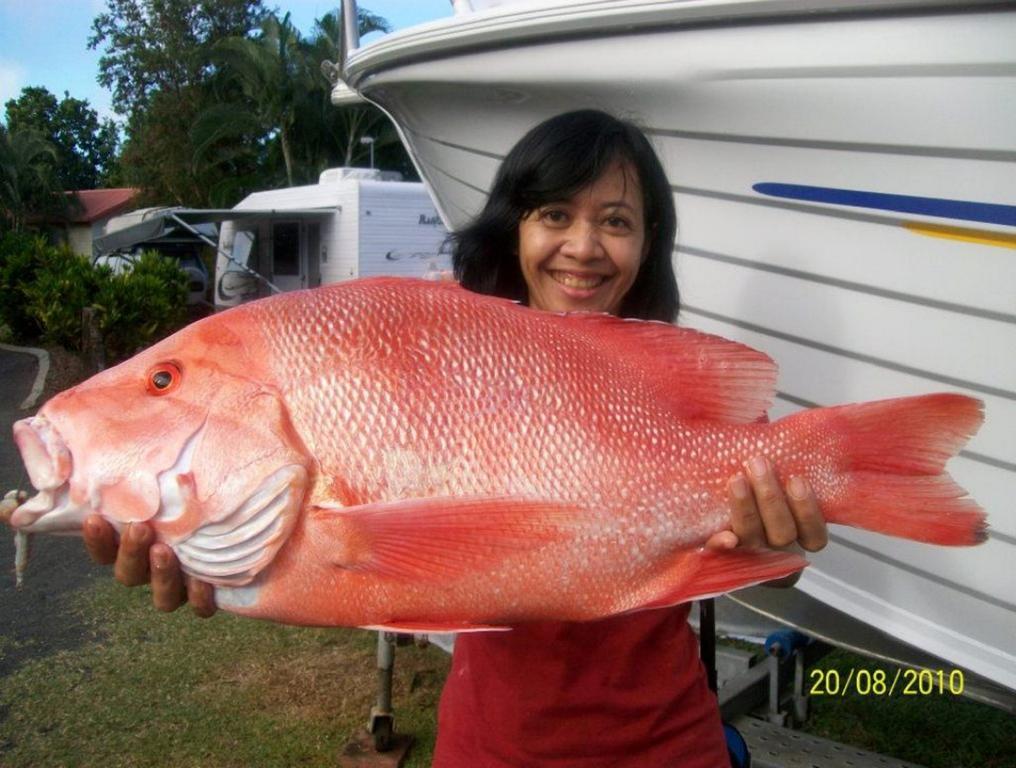 Flying Fish Point Tourist Park Holiday park 2*